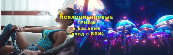 таблы Дмитровск