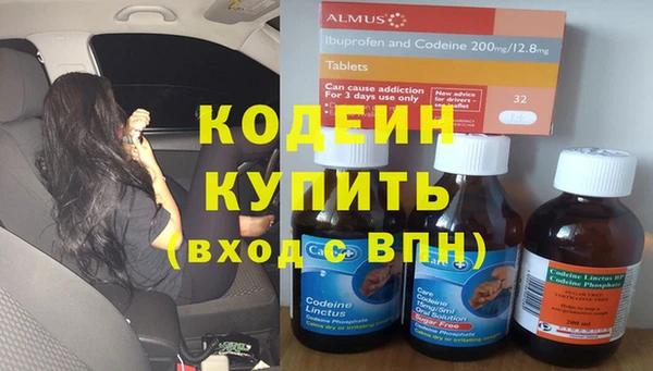 стаф Тутаев
