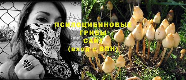 спайс Киренск